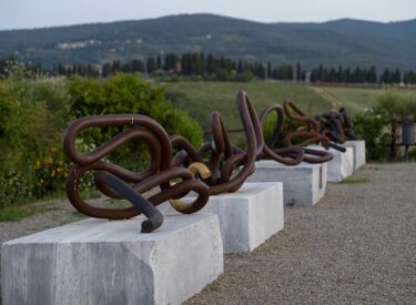 Markandeya e Gradienti 3D